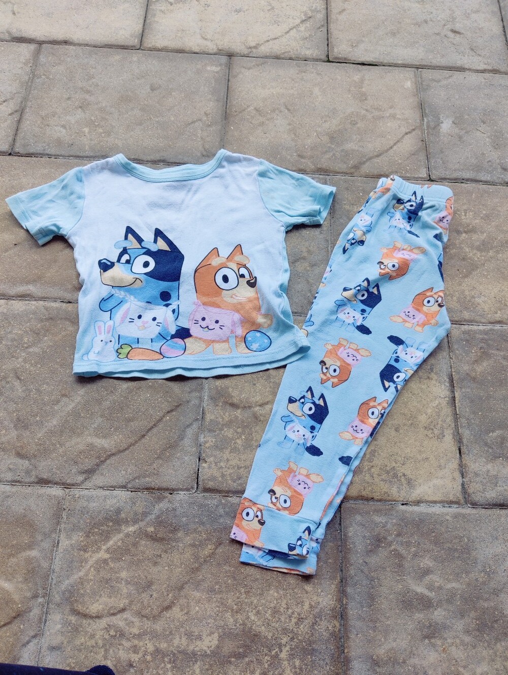 Bluey & Bingo Kids Easter Pajama Set Size 6